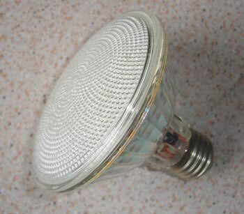 PAR 30 LED Lamps
