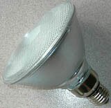 PAR 38 LED Lamps