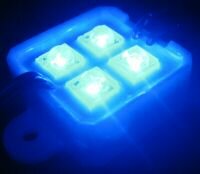 Blue SuperFlux LED Modul 4 LEDs